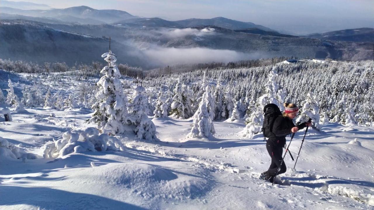 Romanka Жабниця Екстер'єр фото